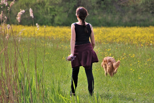 טיול עם כלב בשדה