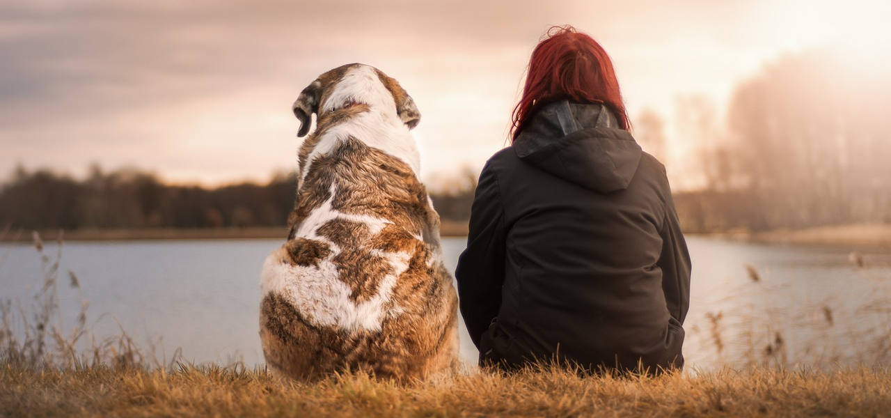 הכלב הוא ידידו הנאמן של האדם. בחורה וכלב יושבים מול אגם