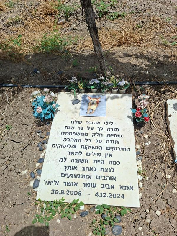 לילי הכלבה האהובה שנפטרה בגיל המופלג של 18 שנה