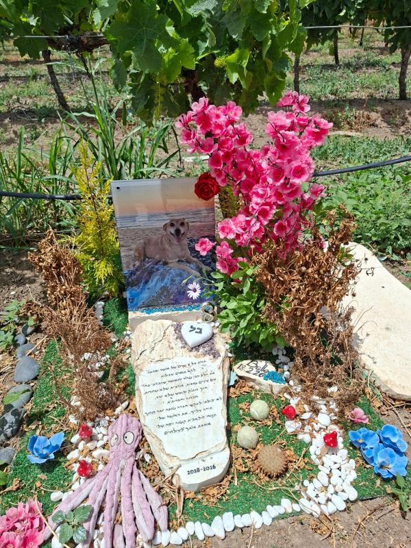 הכלבה בל זכתה לקבר מרהיב בבית הקברות לכלבים