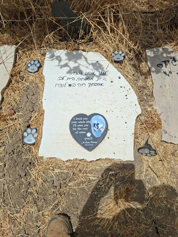 לולו זכתה למנוחה נכונה
