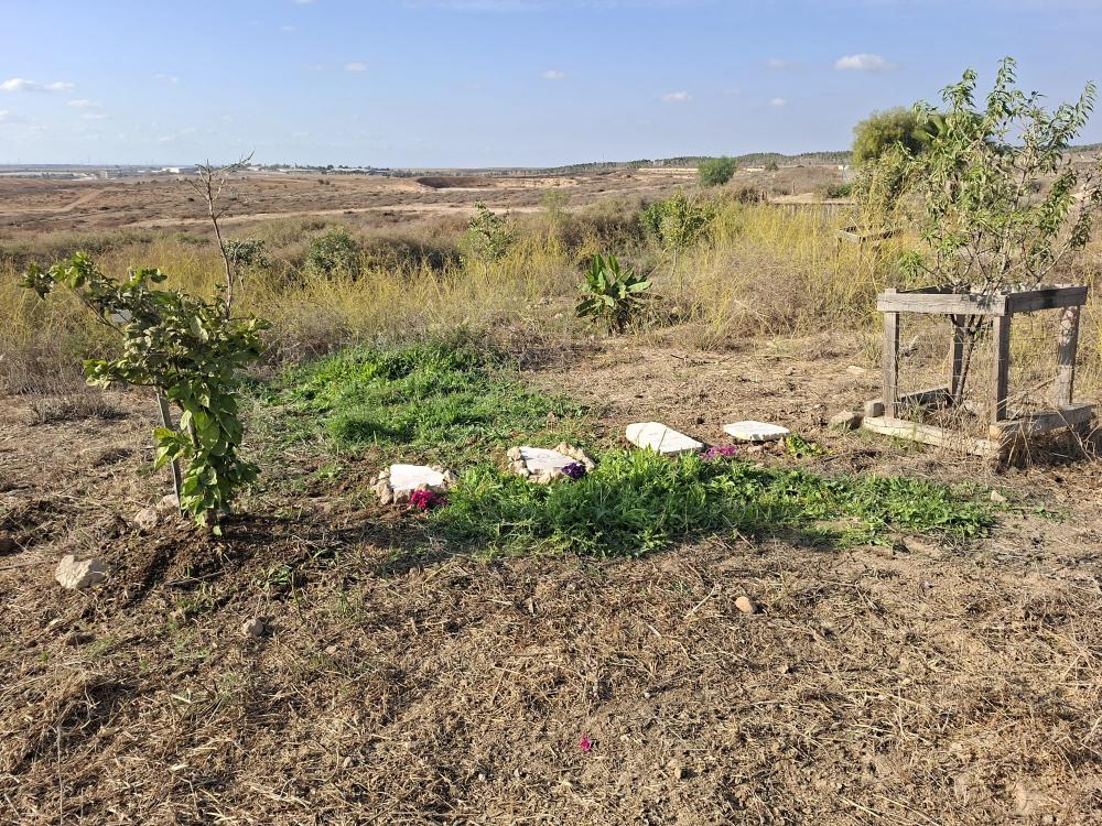 בית קברות לכלבים באר שבע